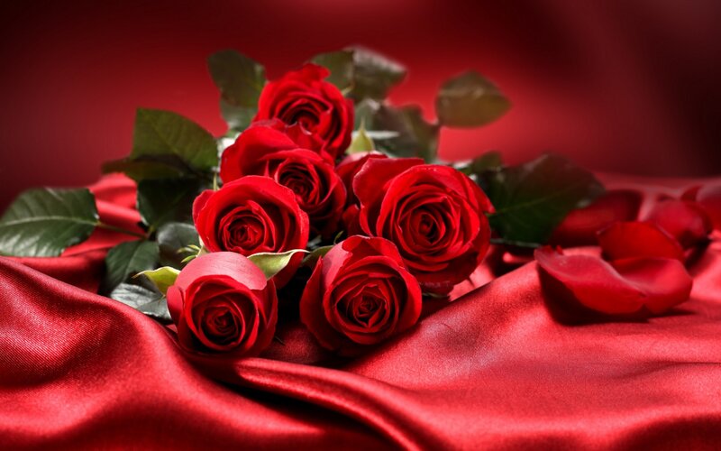 Bouquet of Red Roses — Romantic, Photograph, Green Leaves, Silk Fabric, Petals