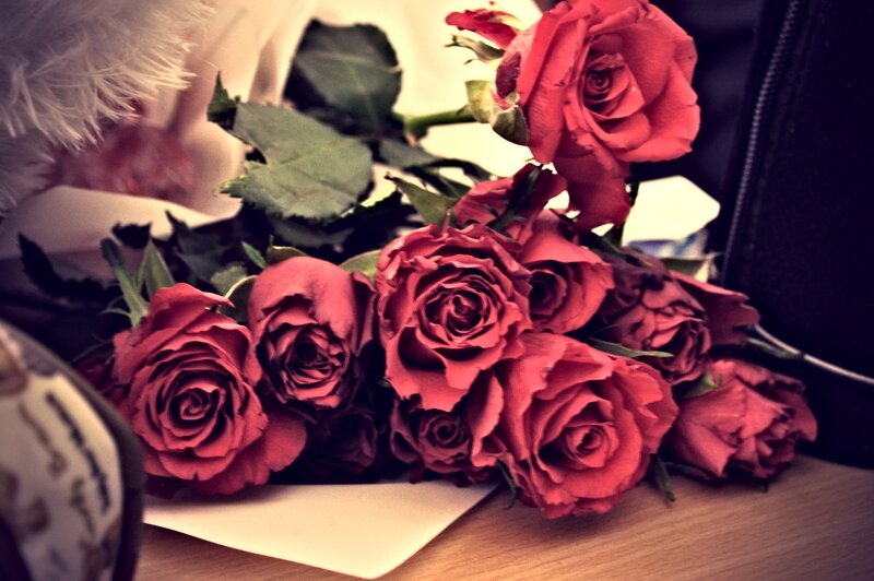 Bouquet of Red Roses — Romantic, Photograph, Leaves