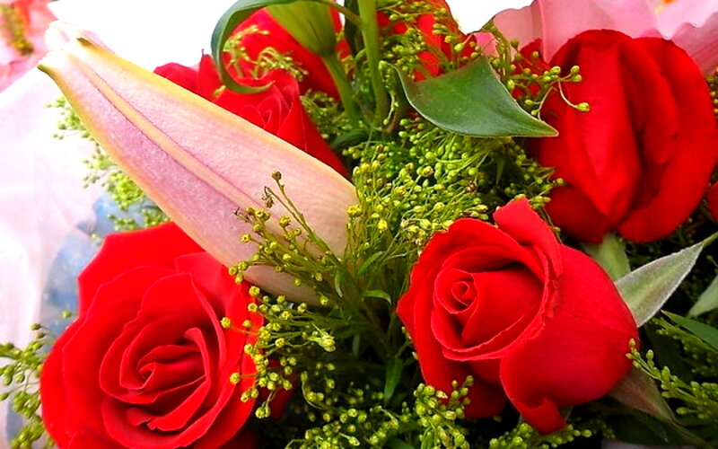 Bouquet of Red Roses — Romantic, Photograph, Lilies