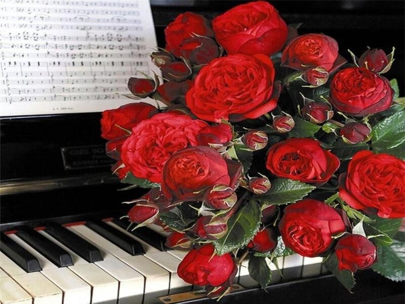 Bouquet of Red Roses — Romantic, Photograph, Piano