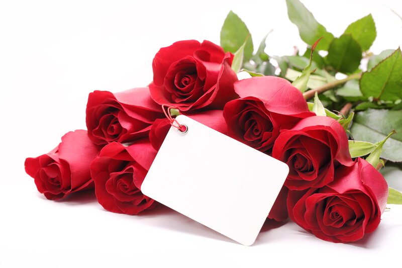 Bouquet of Red Roses — Romantic, Photograph, Tag