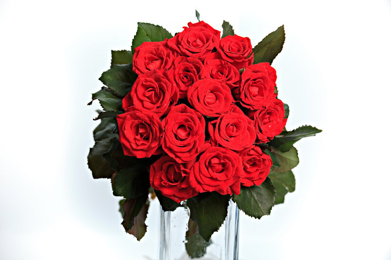 Bouquet of Red Roses — Romantic, Photograph, Vase