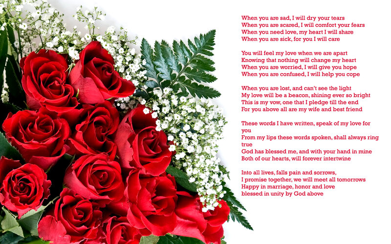 Bouquet of Red Roses — Romantic, Photograph, White Baby's Breath, Green Fern Leaves