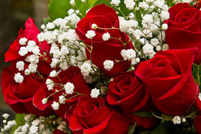 Bouquet of Red Roses — Romantic, Photograph, White Baby's Breath, Green Leaves