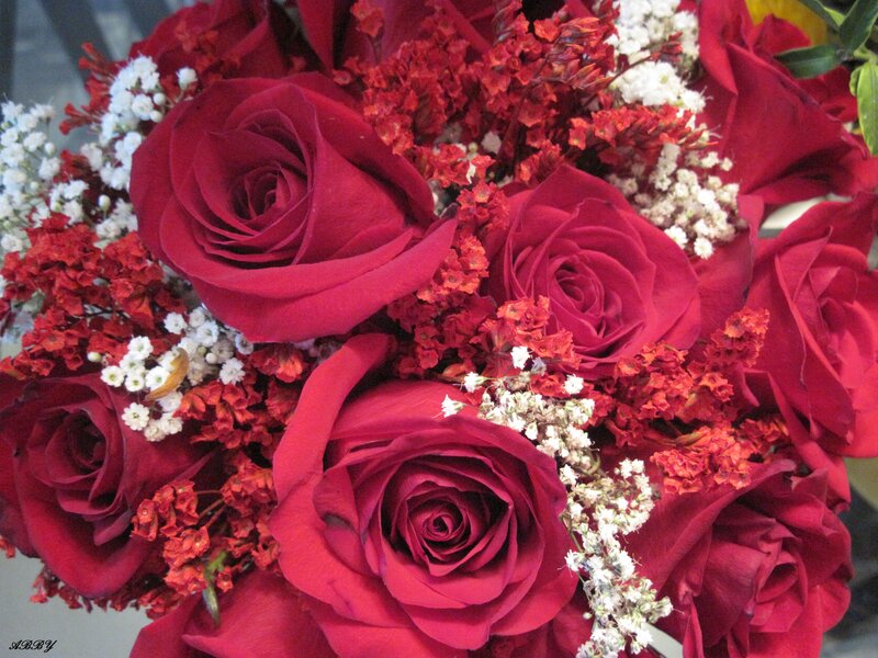 Bouquet of Red Roses — Romantic, Photograph, White Baby's Breath, Red Filler Flowers, Green Leaves