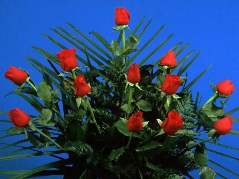 Bouquet of Red Roses — Romantic