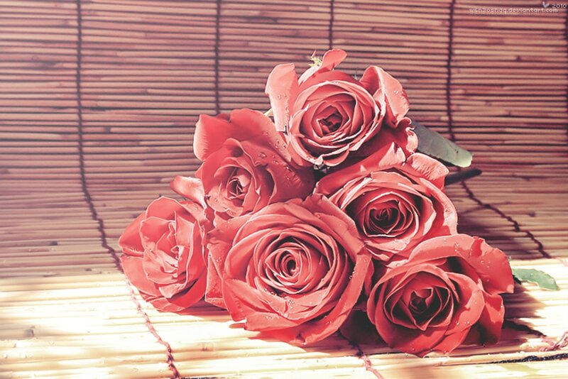 Bouquet of Red Roses — Serene, Afternoon, Photograph, Bamboo Mat