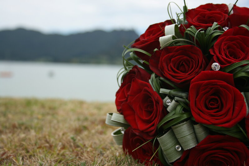 Bouquet of Red Roses — Serene, Photograph, Grass