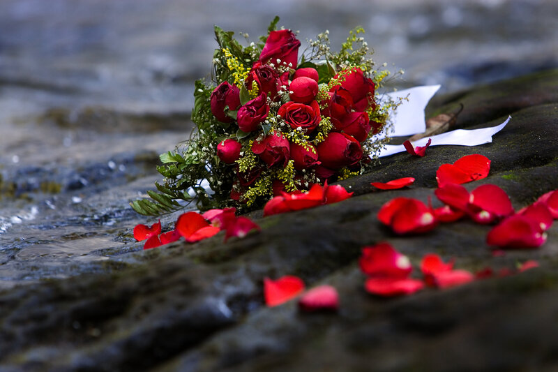 Bouquet of Red Roses — Serene, Photograph, River