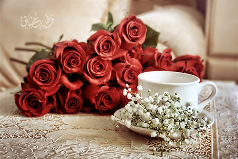 Bouquet of Red Roses — Serene, Photograph, Tea Cup
