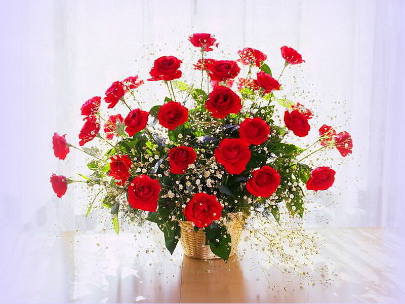 Bouquet of Red Roses — Serene, Photograph