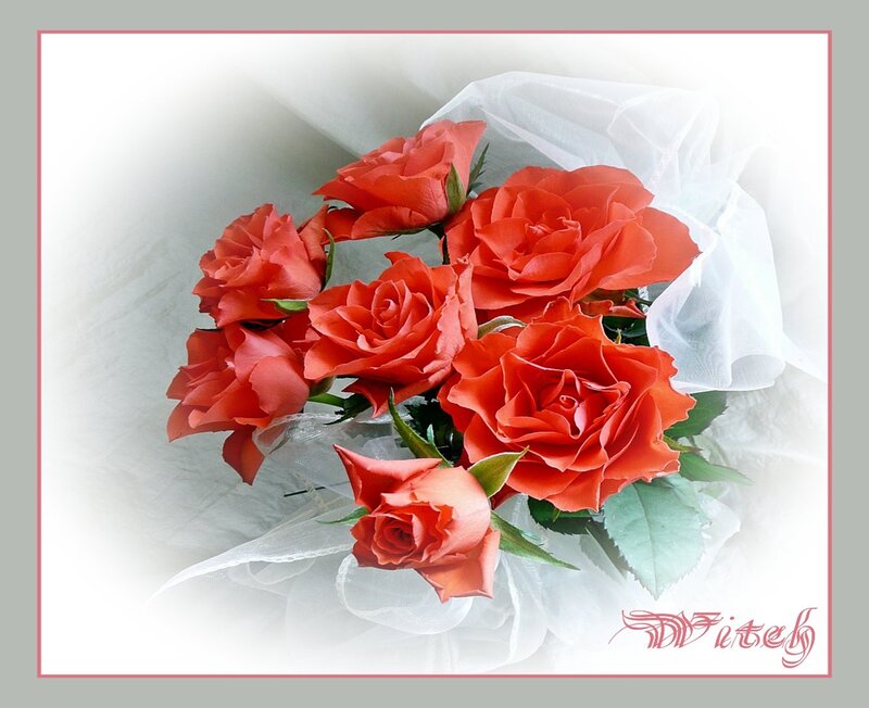 Bouquet of Red Roses — Serene, Photograph, White Fabric
