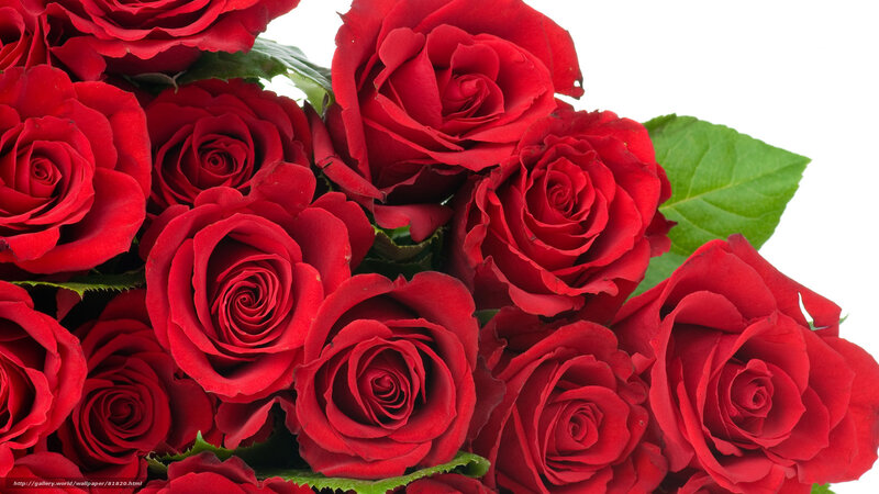 bouquet of red roses