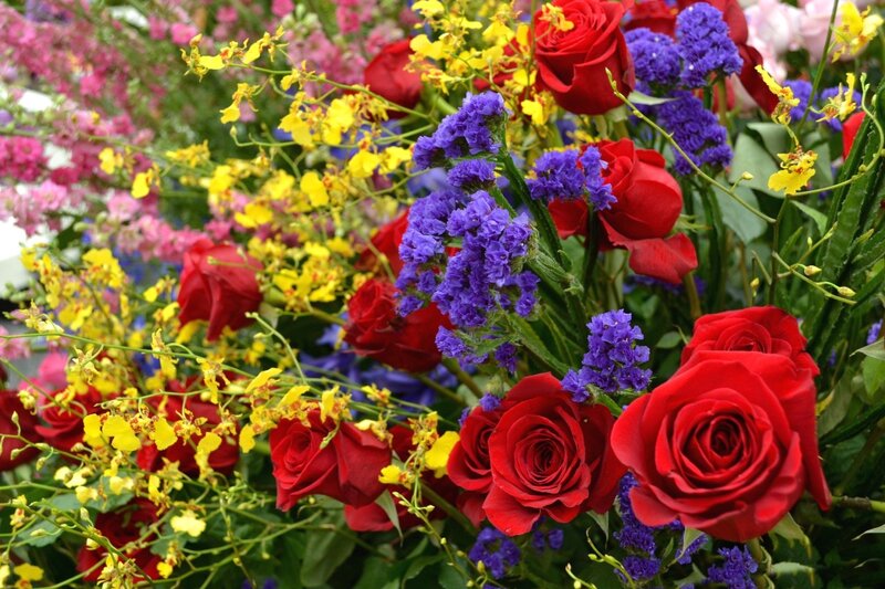 Bouquet of Red Roses — Vibrant, Photograph