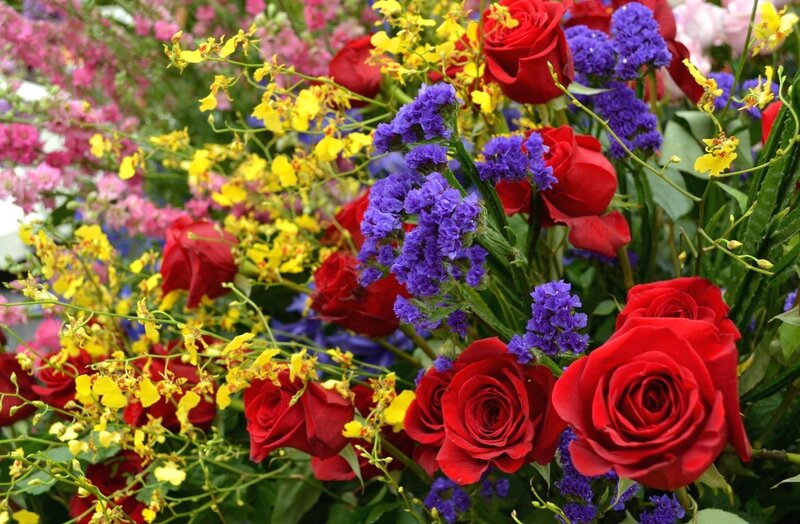 Bouquet of Red Roses — Vibrant, Photograph, Yellow Orchids