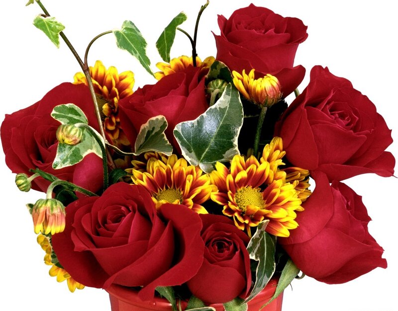 Bouquet of Red Roses — Vibrant