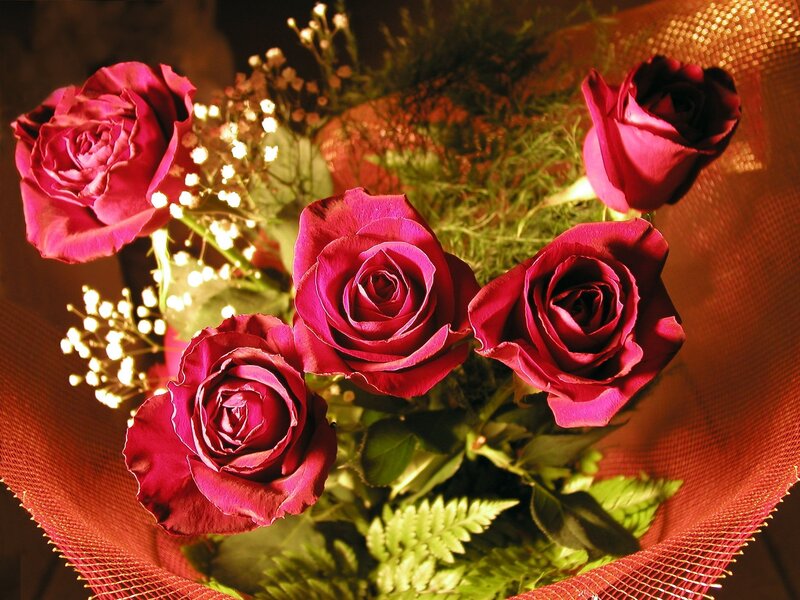 Bouquet of Red Roses — Warm, Night, Photograph