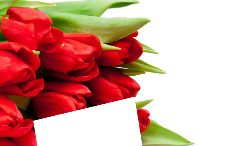 Bouquet of Red Tulips — Calm, Photograph, Green Leaves