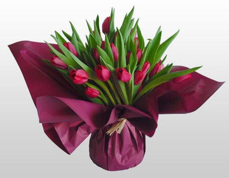 Bouquet of Red Tulips — Calm, Photograph