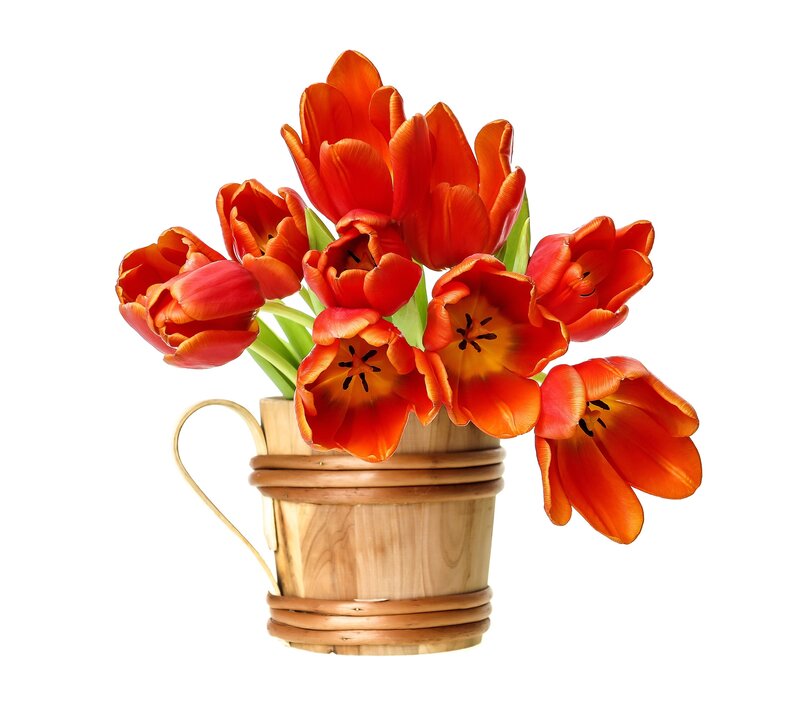 Bouquet of Red Tulips — Calm, Photograph, Wooden Bucket