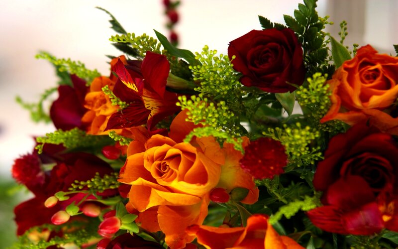 Bouquet of Roses and Alstroemeria — Red, Vibrant