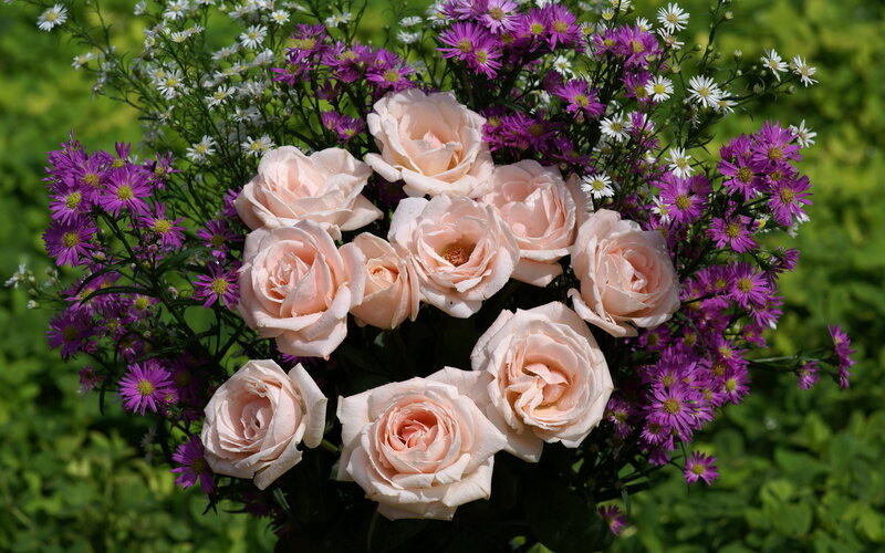 Bouquet of Roses and Asters