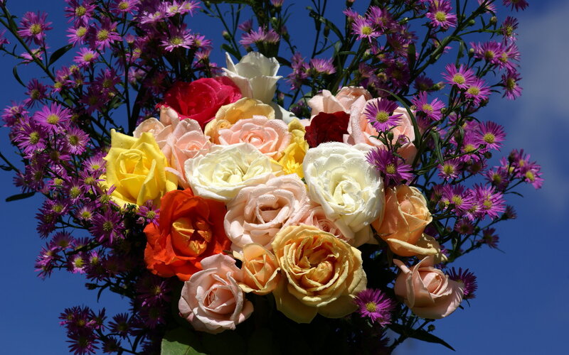Bouquet of Roses and Asters — Yellow
