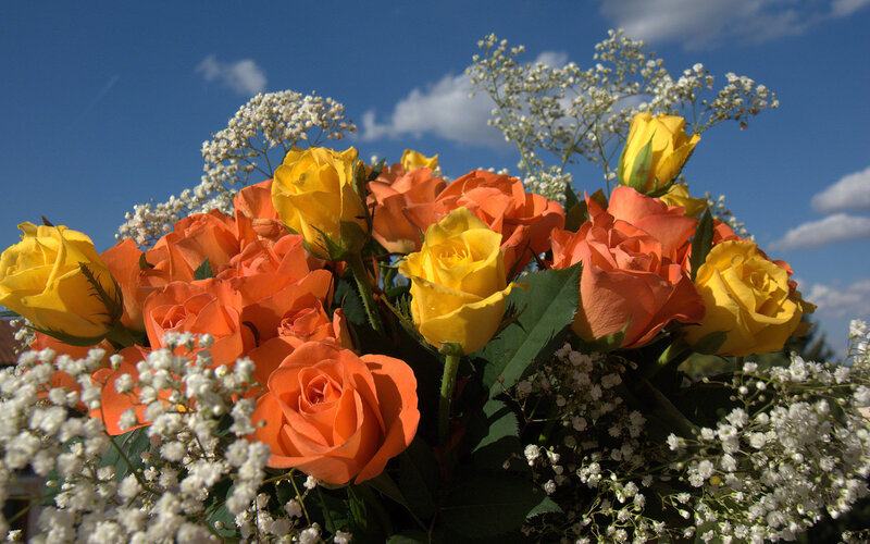 Bouquet of Roses and Baby's Breath — Yellow