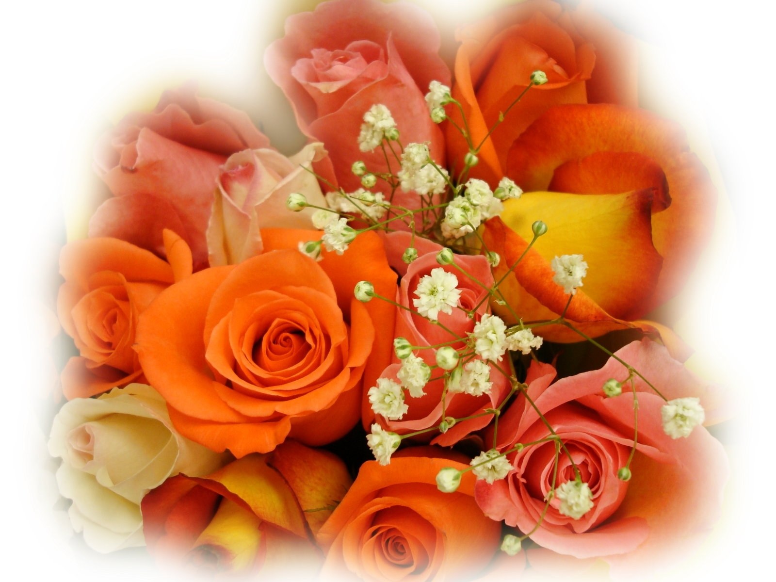 bouquet of roses and baby's breath