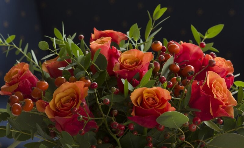 Bouquet of Roses and Berries — Red, Dramatic