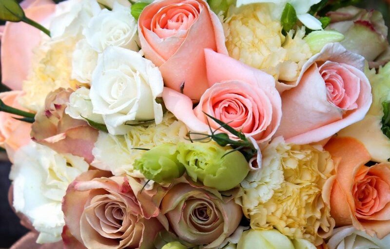 Bouquet of Roses and Carnations — Pink, Calm, Photograph