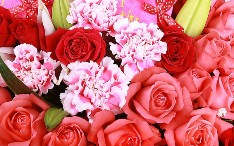 Bouquet of Roses and Carnations — Red, Festive, Photograph