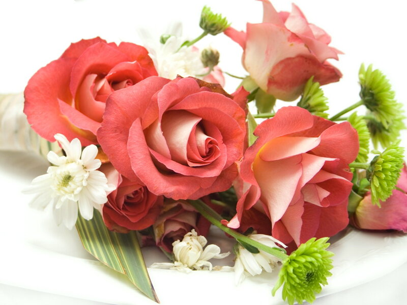 Bouquet of Roses and Chrysanthemums — Red, Calm