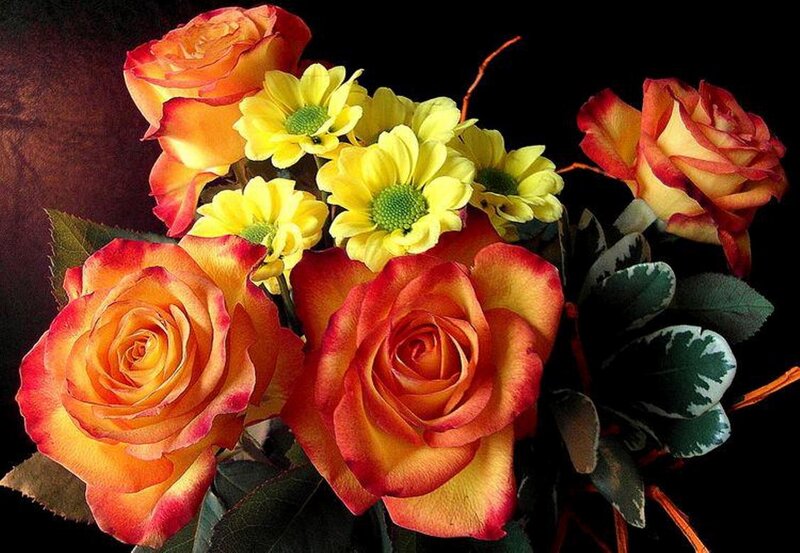 Bouquet of Roses and Chrysanthemums — Red, Dramatic