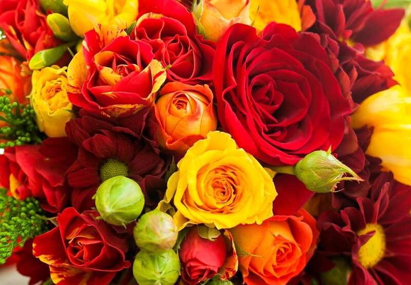 Bouquet of Roses and Chrysanthemums — Red, Vibrant