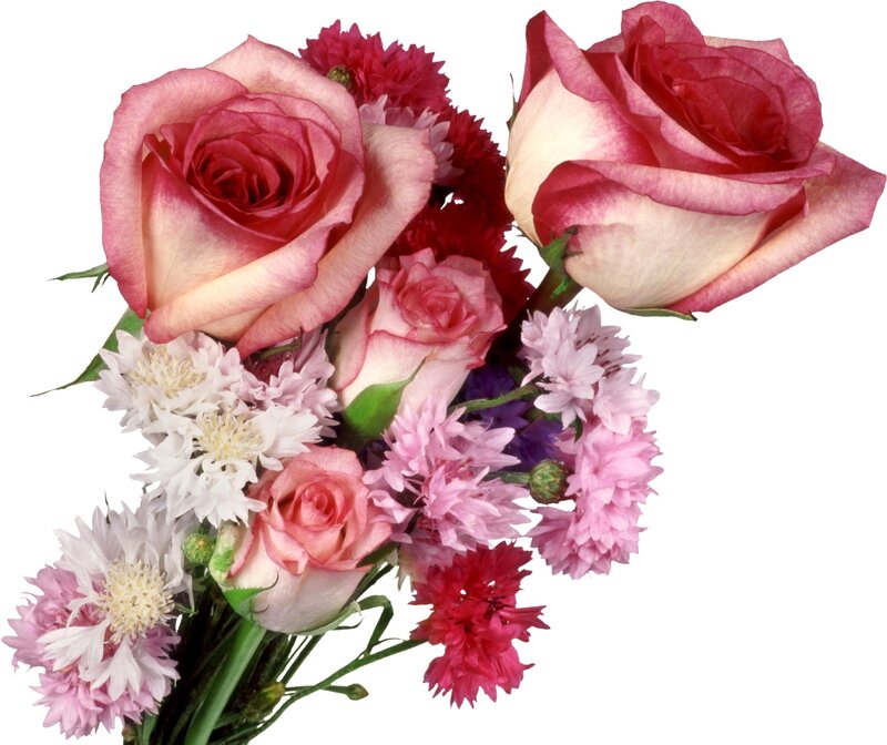 Bouquet of Roses and Cornflowers