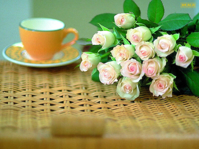 Bouquet of Roses and Cup — Green, Serene