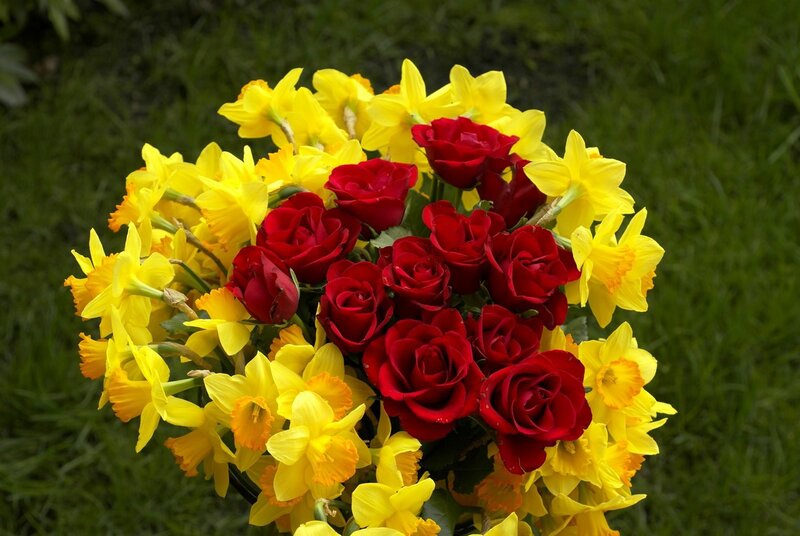 Bouquet of Roses and Daffodils — Red
