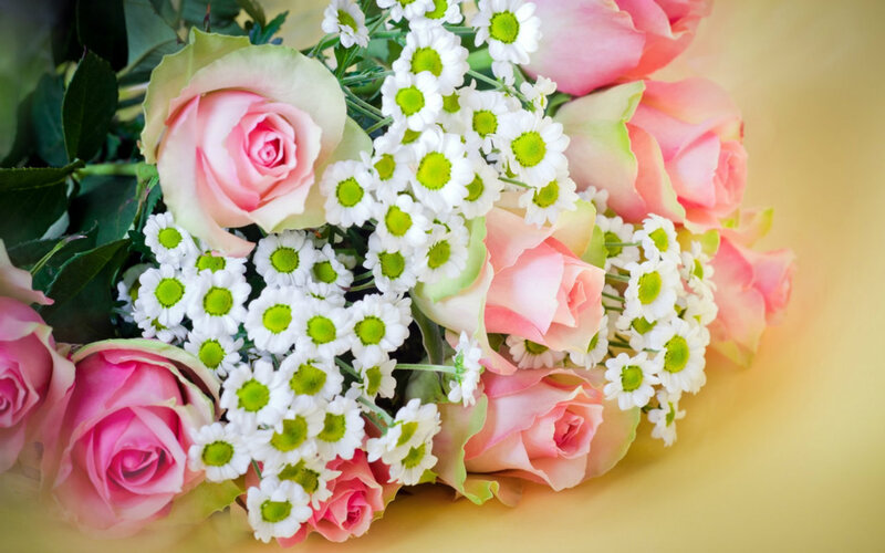 Bouquet of Roses and Daisies — Pink, Calm