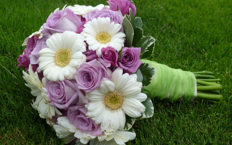 Bouquet of Roses and Daisies — Purple, Calm