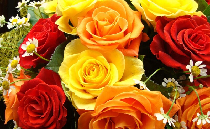 Bouquet of Roses and Daisies — Red, Vibrant