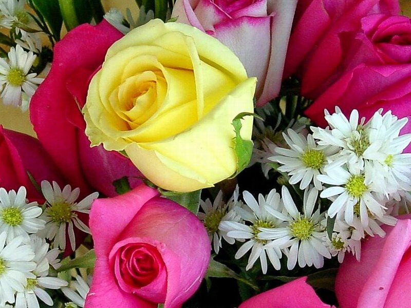 Bouquet of Roses and Daisies — Yellow, Calm