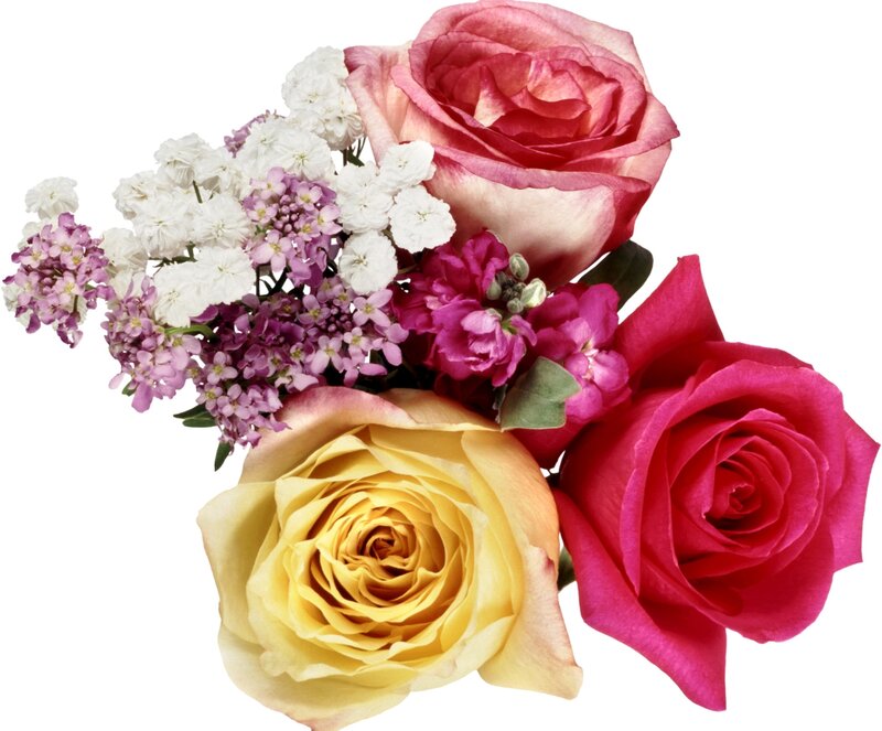Bouquet of Roses and Filler
