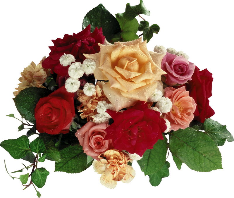 Bouquet of Roses and Flowers — Red, Calm