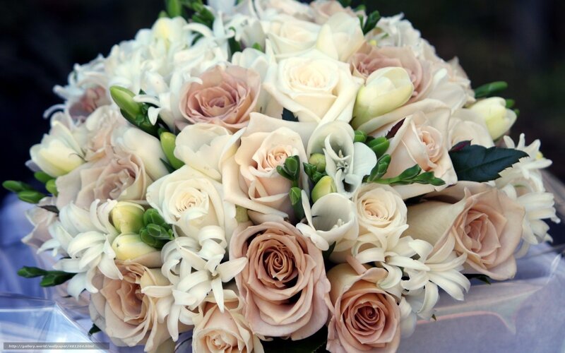 Bouquet of Roses and Flowers — White, Calm, Photograph, Green Leaves