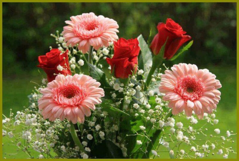 Bouquet of Roses and Gerberas — Pink, Serene
