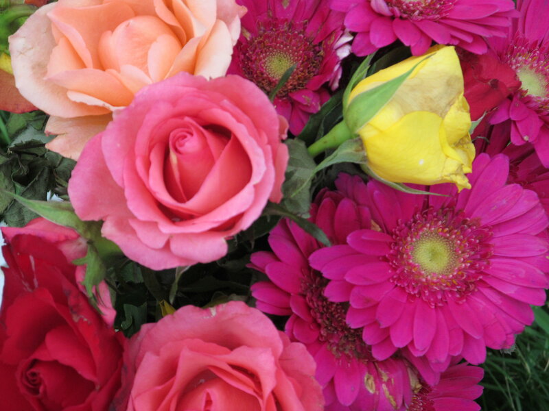 Bouquet of Roses and Gerberas — Pink, Vibrant