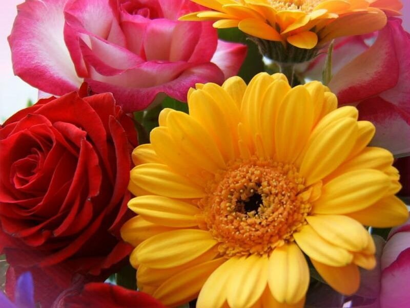 Bouquet of Roses and Gerberas — Yellow, Vibrant