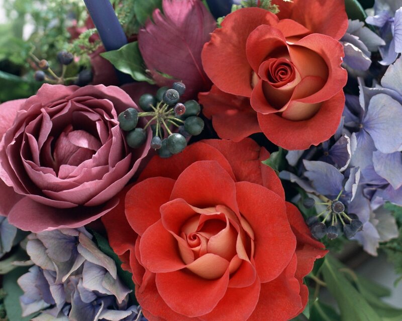 Bouquet of Roses and Hydrangeas — Red, Calm