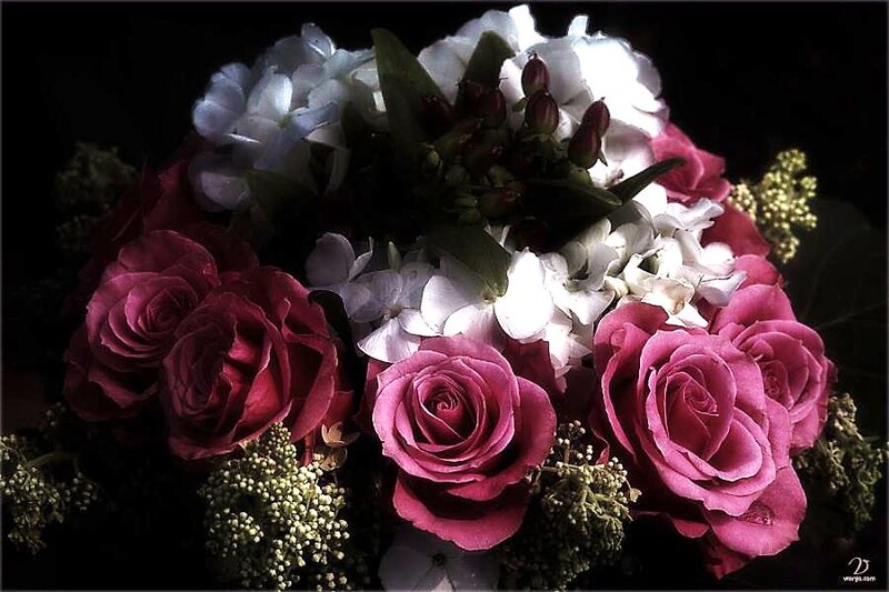 Bouquet of Roses and Hydrangeas